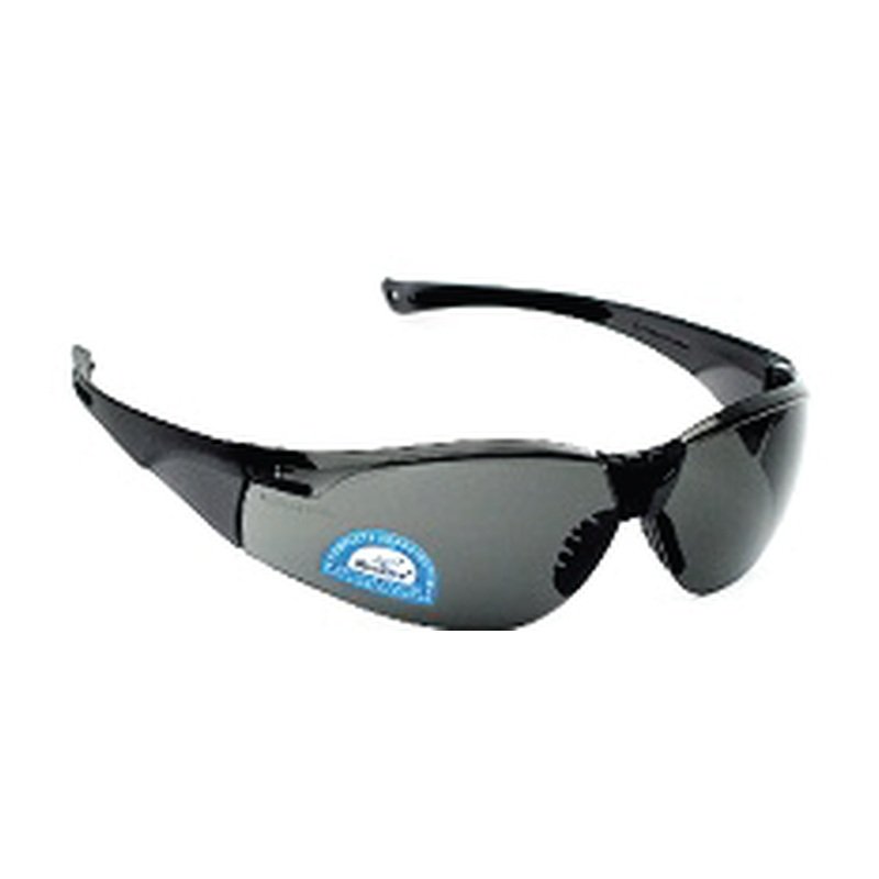 V Safety Eye Wear