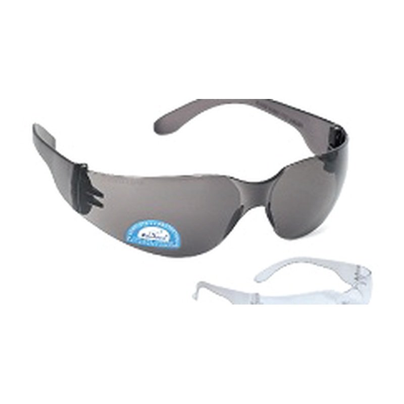 V Safety Eye Wear