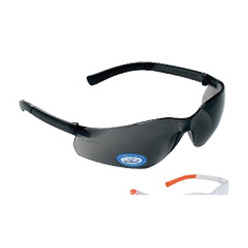 V Safety Eye Wear