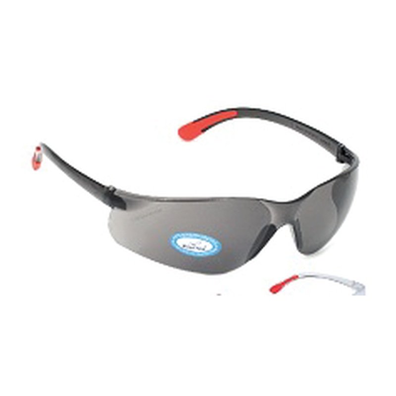 V Safety Eye Wear