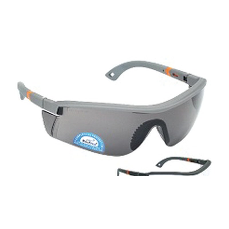 V Safety Eye Wear
