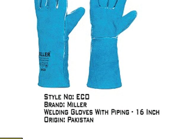 Eco Card