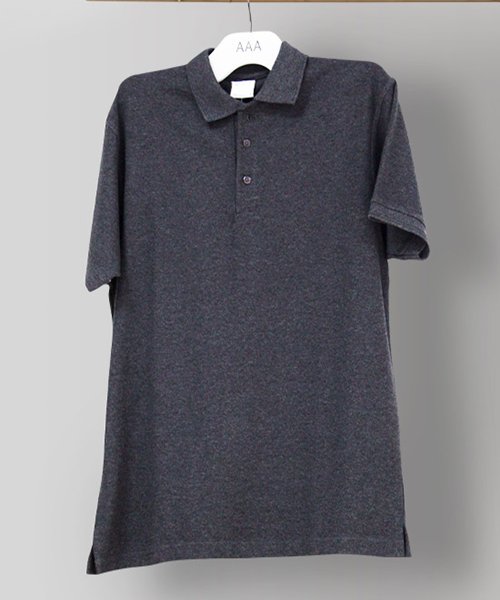 Steel Gray Polo Years